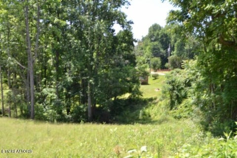 Photo of 2376 Pea Ridge Fire Tower Rd, Celina, TN 38551 (MLS # 1355047)