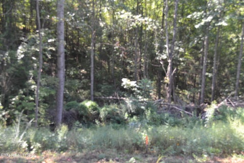 Tiny photo for 2376 Pea Ridge Fire Tower Rd, Celina, TN 38551 (MLS # 1355047)