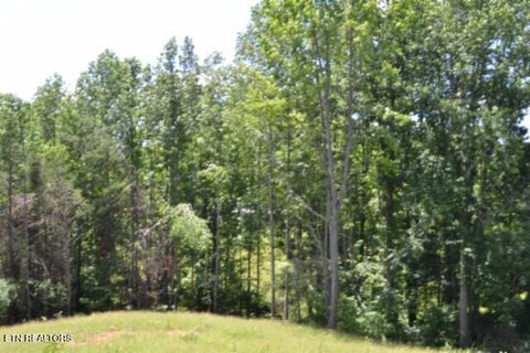 Tiny photo for 2376 Pea Ridge Fire Tower Rd, Celina, TN 38551 (MLS # 1355047)