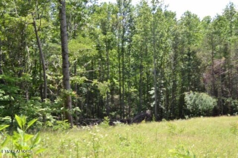 Tiny photo for 2376 Pea Ridge Fire Tower Rd, Celina, TN 38551 (MLS # 1355047)