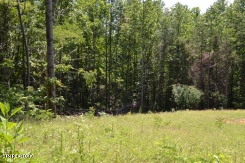 Tiny photo for 2376 Pea Ridge Fire Tower Rd, Celina, TN 38551 (MLS # 1355047)