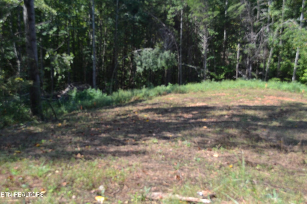 Photo of 2376 Pea Ridge Fire Tower Rd, Celina, TN 38551 (MLS # 1355047)