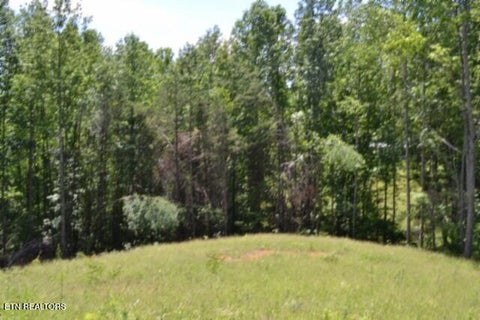 Tiny photo for 2376 Pea Ridge Fire Tower Rd, Celina, TN 38551 (MLS # 1355047)