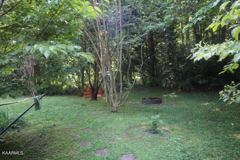 Photo of 355 Boat Gunnel Rd, Townsend, TN 37882 (MLS # 1235092)