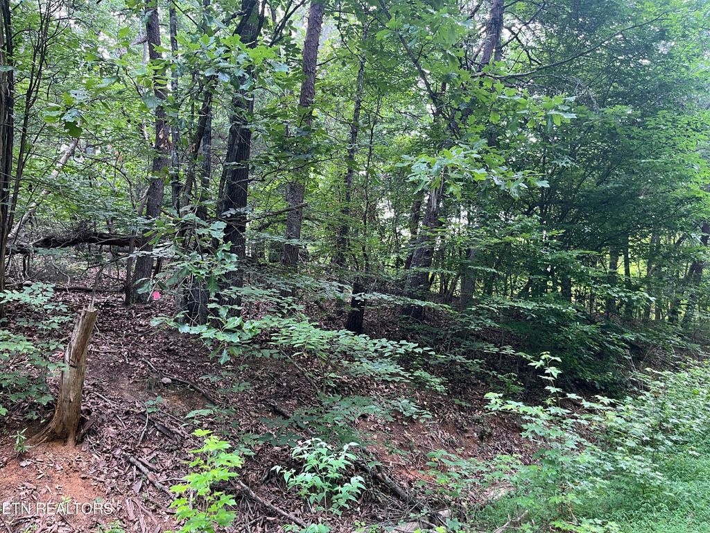 Photo of 3278 Hillside Rd, White Pine, TN 37890 (MLS # 1346209)