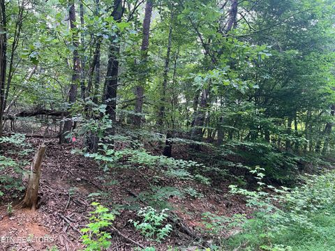 Photo of 3278 Hillside Rd, White Pine, TN 37890 (MLS # 1346209)