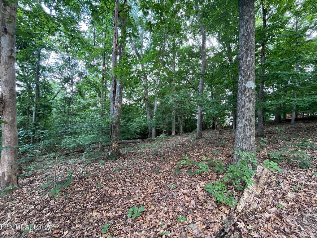 Photo of 3278 Hillside Rd, White Pine, TN 37890 (MLS # 1346209)