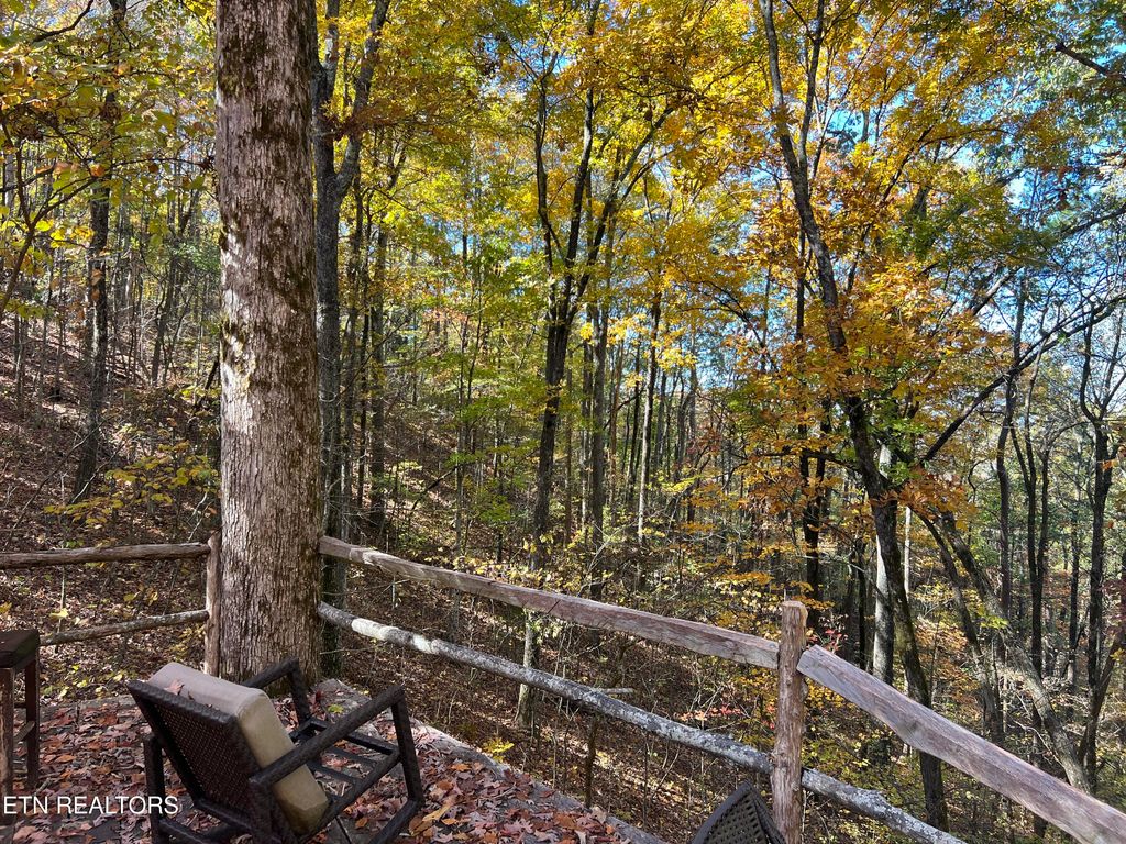 Photo of 0 Polly Mtn Rd, Madisonville, TN 37354 (MLS # 1321445)