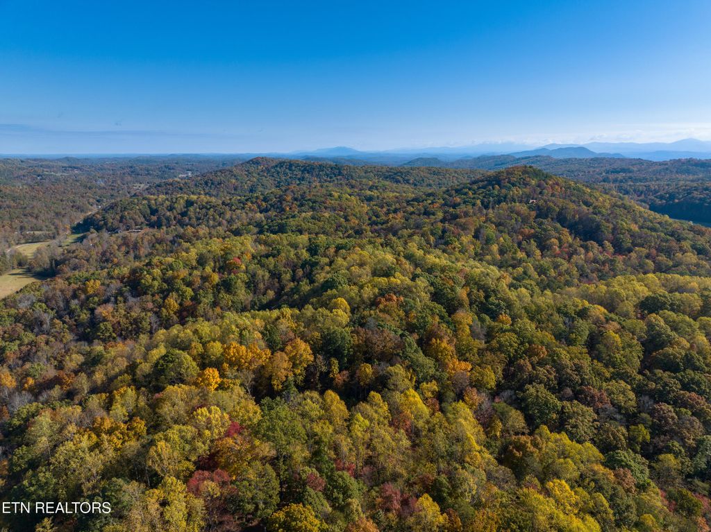 Photo of 0 Polly Mtn Rd, Madisonville, TN 37354 (MLS # 1321445)