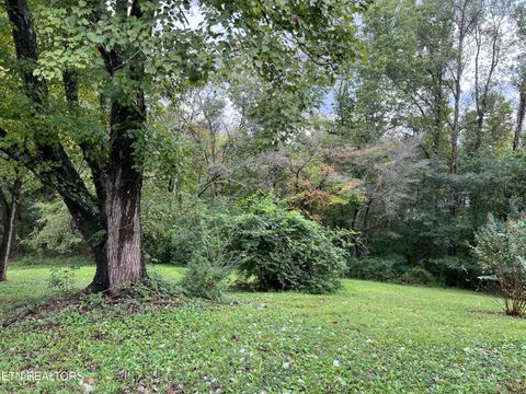 Tiny photo for 345 Emory Heights Rd, Harriman, TN 37748 (MLS # 1317205)