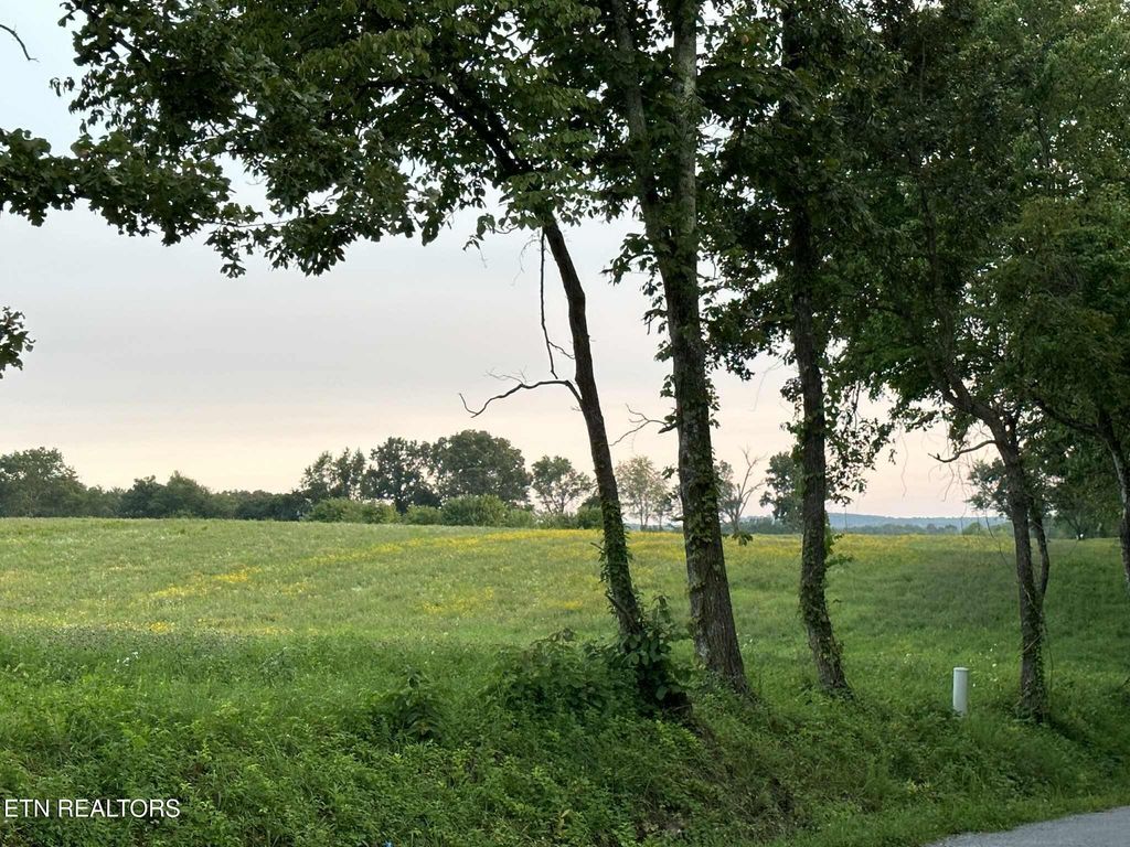 Photo of Smith Mountain Rd, Rockwood, TN 37854 (MLS # 1325514)