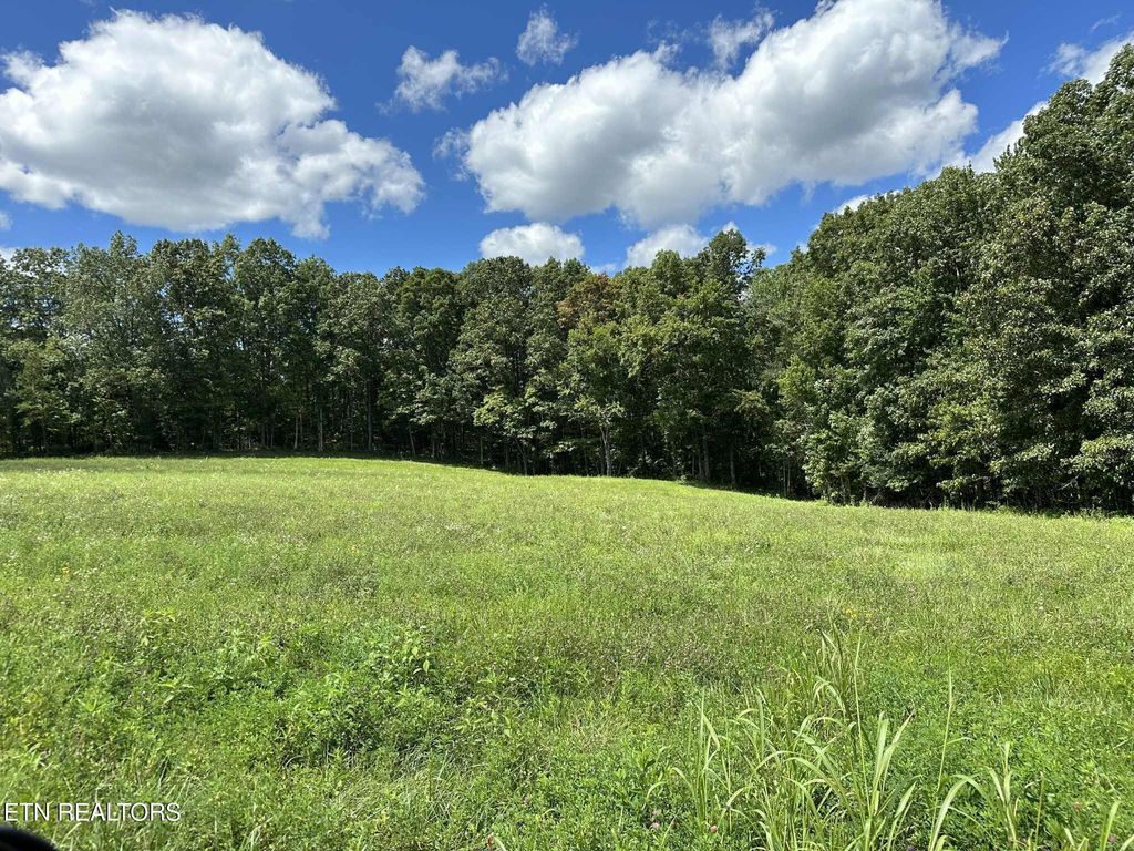 Photo of Smith Mountain Rd, Rockwood, TN 37854 (MLS # 1325514)