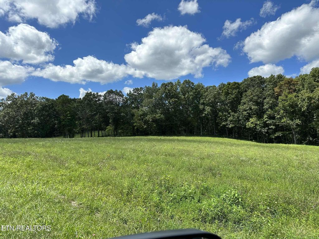 Photo of Smith Mountain Rd, Rockwood, TN 37854 (MLS # 1325514)