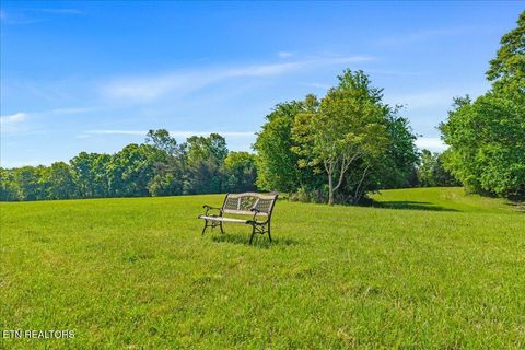 Tiny photo for 3342 River Rd, Decatur, TN 37322 (MLS # 1338317)