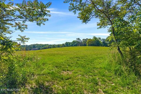 Tiny photo for 3342 River Rd, Decatur, TN 37322 (MLS # 1338317)