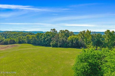 Tiny photo for 3342 River Rd, Decatur, TN 37322 (MLS # 1338317)