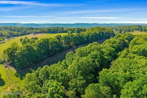 Tiny photo for 3342 River Rd, Decatur, TN 37322 (MLS # 1338317)