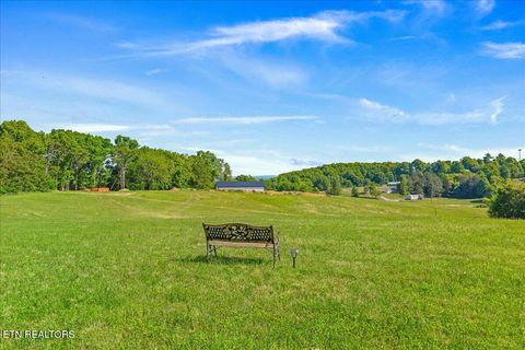 Tiny photo for 3342 River Rd, Decatur, TN 37322 (MLS # 1338317)