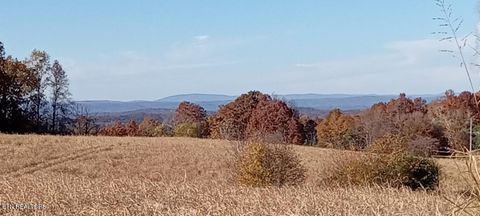 Tiny photo for 3342 River Rd, Decatur, TN 37322 (MLS # 1338317)