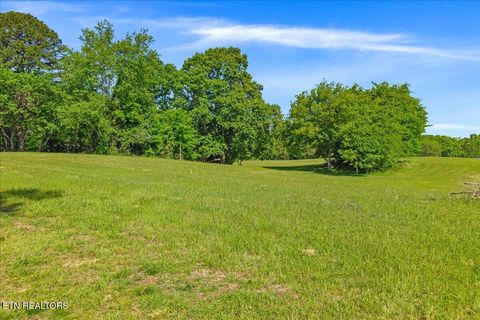 Tiny photo for 3342 River Rd, Decatur, TN 37322 (MLS # 1338317)