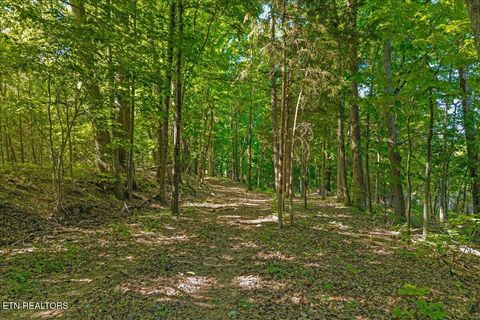 Tiny photo for 3342 River Rd, Decatur, TN 37322 (MLS # 1338317)