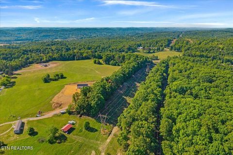 Tiny photo for 3342 River Rd, Decatur, TN 37322 (MLS # 1338317)