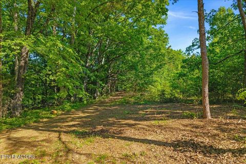Tiny photo for 3342 River Rd, Decatur, TN 37322 (MLS # 1338317)