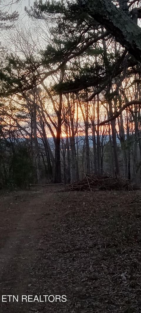 Tiny photo for 3342 River Rd, Decatur, TN 37322 (MLS # 1338317)