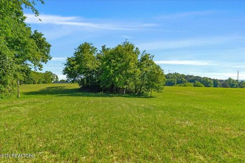 Tiny photo for 3342 River Rd, Decatur, TN 37322 (MLS # 1338317)