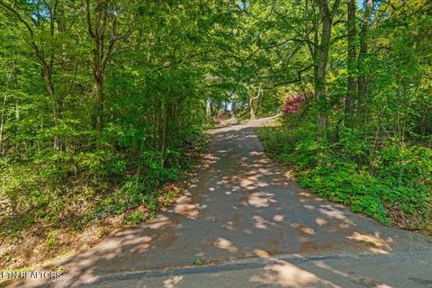 Tiny photo for 3342 River Rd, Decatur, TN 37322 (MLS # 1338317)