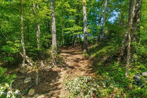 Tiny photo for 3342 River Rd, Decatur, TN 37322 (MLS # 1338317)