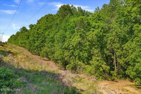 Tiny photo for 3342 River Rd, Decatur, TN 37322 (MLS # 1338317)