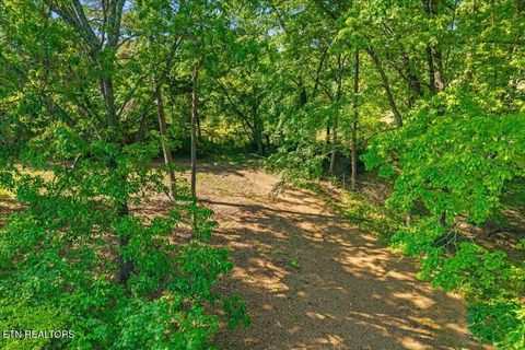 Tiny photo for 3342 River Rd, Decatur, TN 37322 (MLS # 1338317)