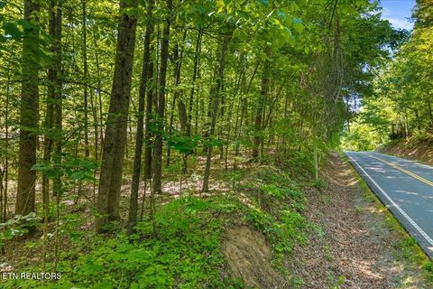 Tiny photo for 3342 River Rd, Decatur, TN 37322 (MLS # 1338317)
