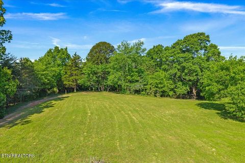 Tiny photo for 3342 River Rd, Decatur, TN 37322 (MLS # 1338317)