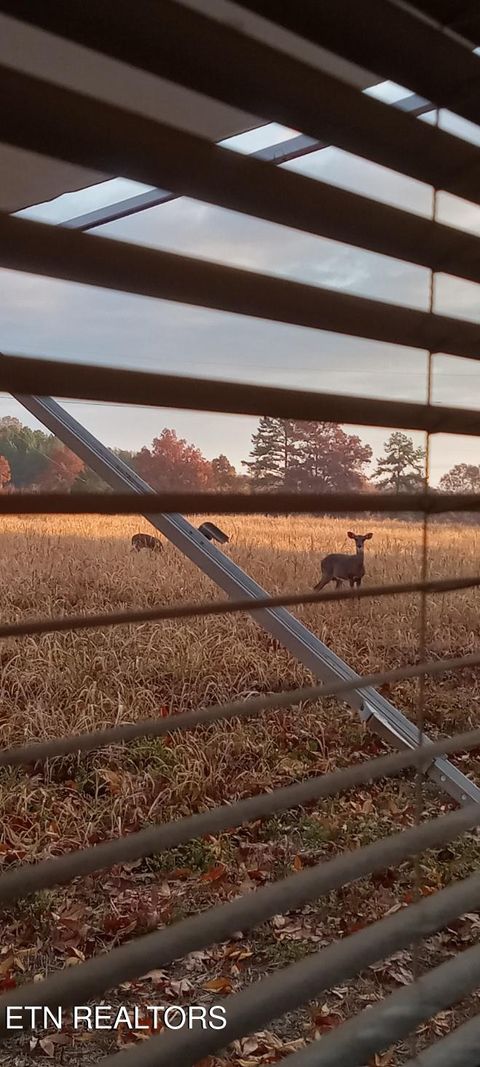 Tiny photo for 3342 River Rd, Decatur, TN 37322 (MLS # 1338317)