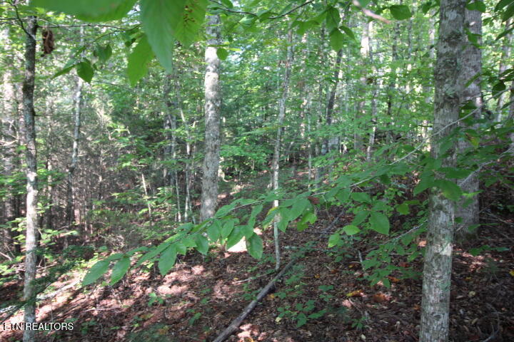 523 Rudd Hollow Rd