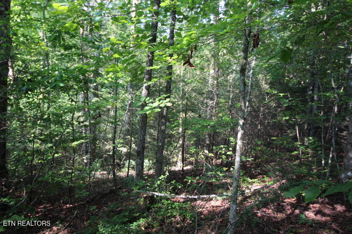523 Rudd Hollow Rd