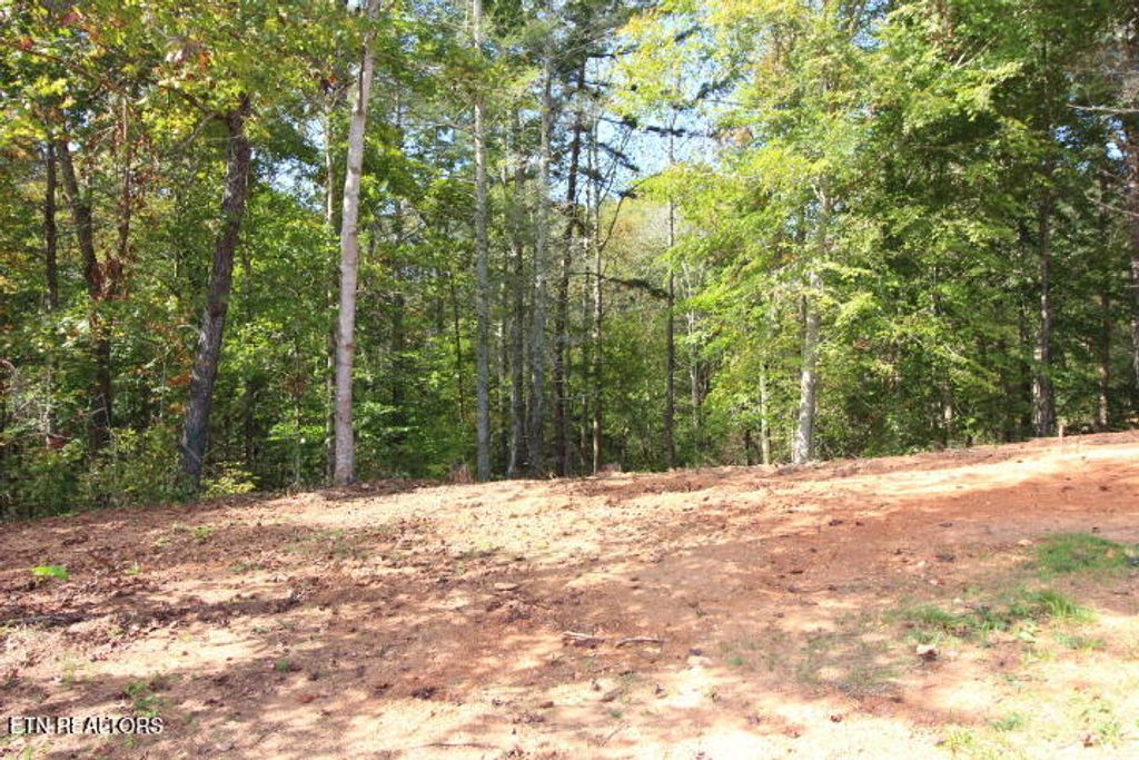 Photo of 523 Rudd Hollow Rd, Townsend, TN 37882 (MLS # 1301825)