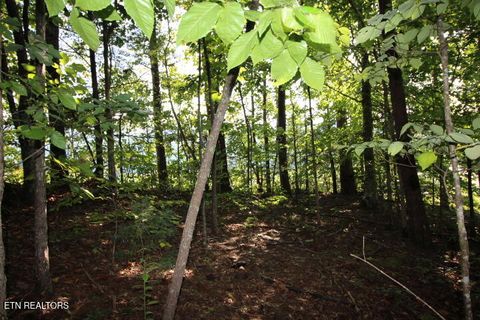 523 Rudd Hollow Rd Townsend TN 37882