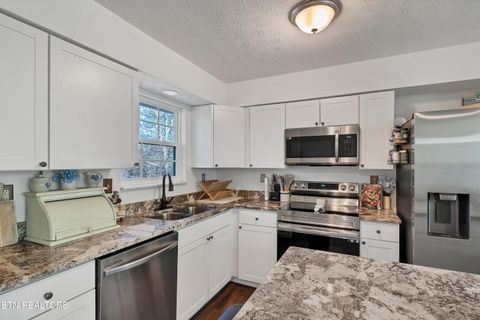 Tiny photo for 725 Winston Drive, Seymour, TN 37865 (MLS # 1324698)