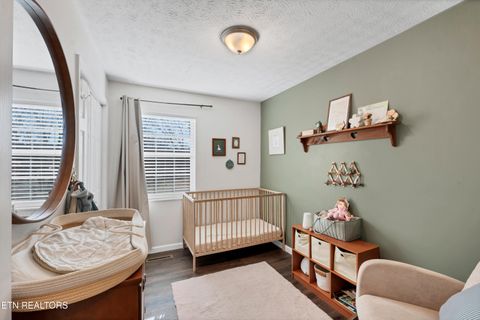 Tiny photo for 725 Winston Drive, Seymour, TN 37865 (MLS # 1324698)