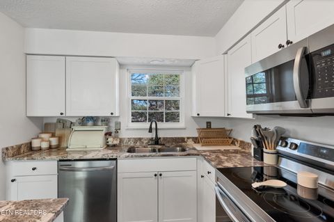 Tiny photo for 725 Winston Drive, Seymour, TN 37865 (MLS # 1324698)