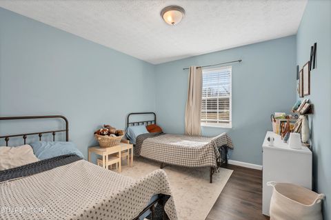 Tiny photo for 725 Winston Drive, Seymour, TN 37865 (MLS # 1324698)