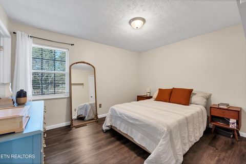 Tiny photo for 725 Winston Drive, Seymour, TN 37865 (MLS # 1324698)