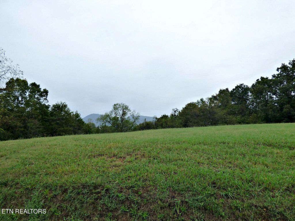 Photo of 1 Indian Ridge Rd, Blaine, TN 37709 (MLS # 1278062)