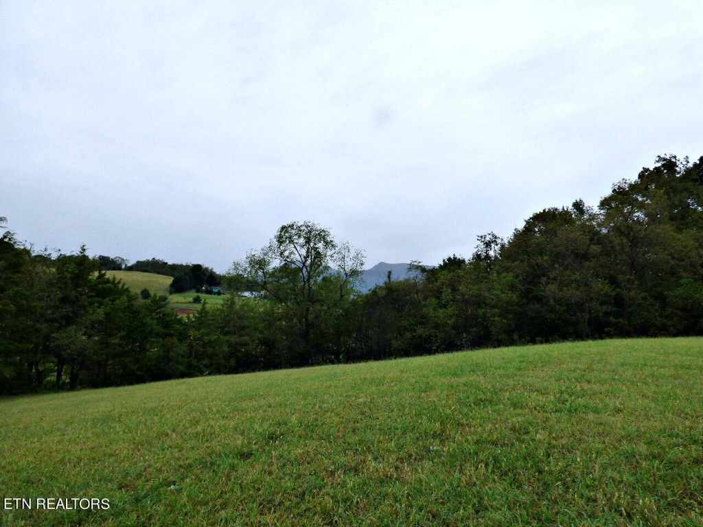 Photo of 1 Indian Ridge Rd, Blaine, TN 37709 (MLS # 1278062)