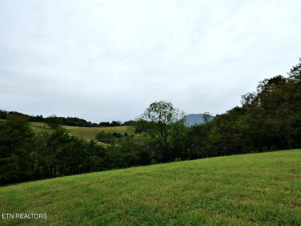Photo of 1 Indian Ridge Rd, Blaine, TN 37709 (MLS # 1278062)