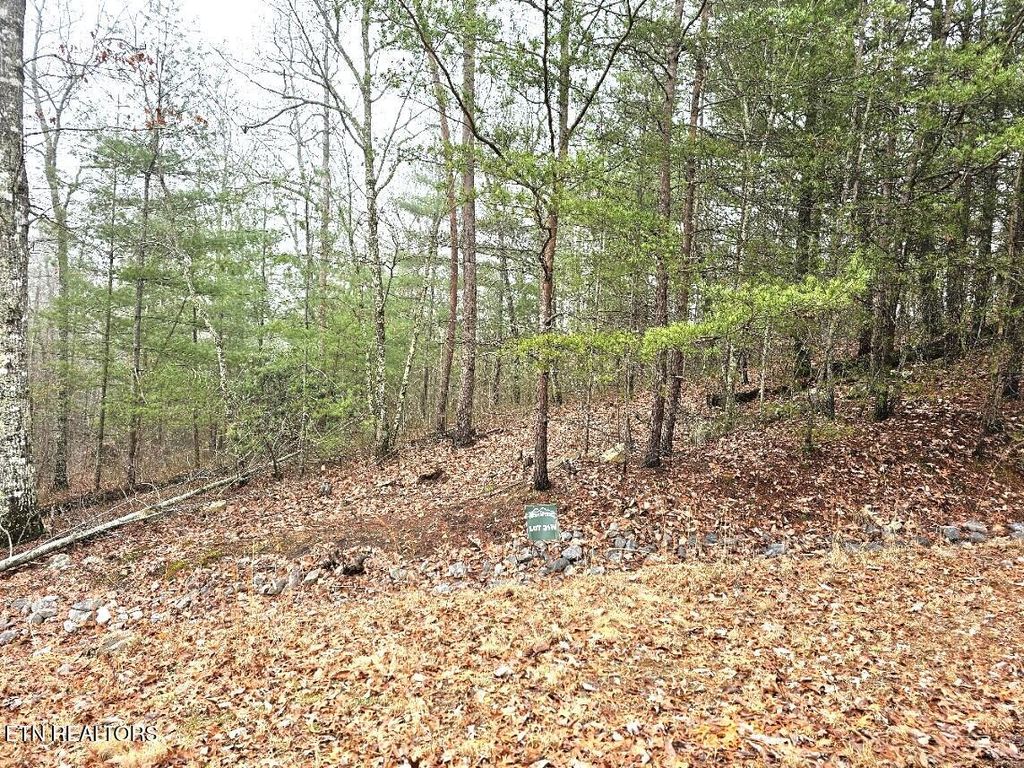 Photo of 514 Percussion Court, Walland, TN 37886 (MLS # 1330724)