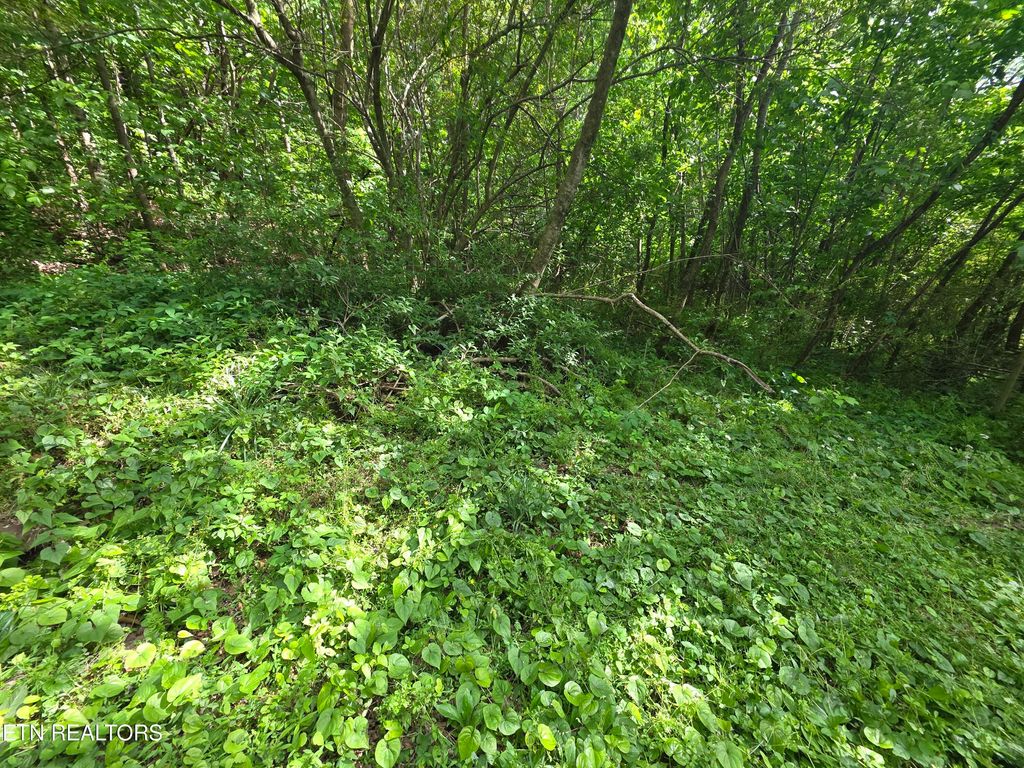 Photo of Cemetery Rd, Caryville, TN 37714 (MLS # 1338695)